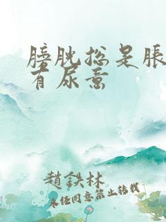 膀胱总是胀胀的有尿意