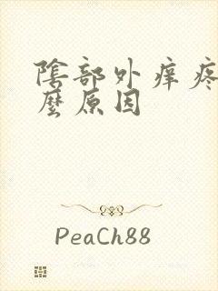 阴部外痒疼是什么原因