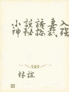 小说诱妻入怀:神秘总裁强势宠