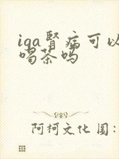 iga肾病可以喝茶吗