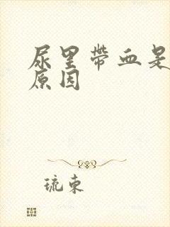 尿里带血是什么原因