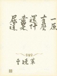 尿黄还有一股味道是什么原因