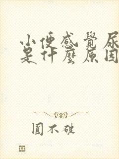 小便感觉尿反流是什么原因