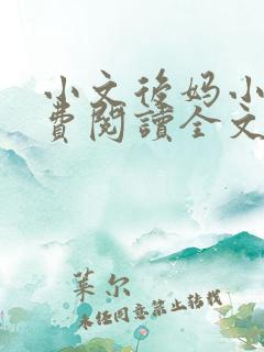 小文后妈小说免费阅读全文最新章节