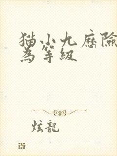 猫小九历险记修为等级