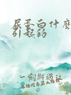 尿蛋白什么原因引起的