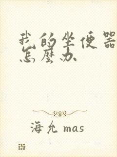 我的坐便器漏水怎么办