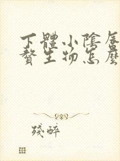 下体小阴唇内侧赘生物怎么办