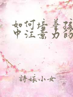 如何培养孩子集中注意力的方法