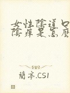 女性阴道口痒外阴痒是怎么了