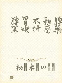 脾胃不和脾胃虚寒吃什么药