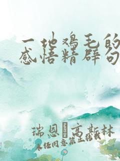 一地鸡毛的人生感悟精辟句子