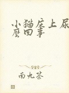 小猫床上尿是怎么回事