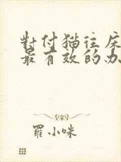 对付猫往床上尿最有效的办法