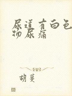 尿道有白色分泌物尿痛