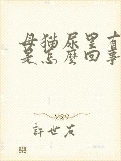 母猫尿里有血丝是怎么回事