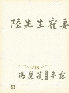 陆先生宠妻无度