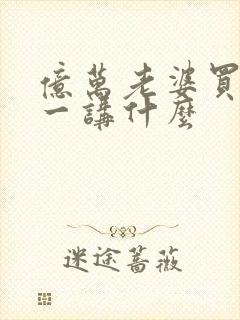 亿万老婆买一送一讲什么