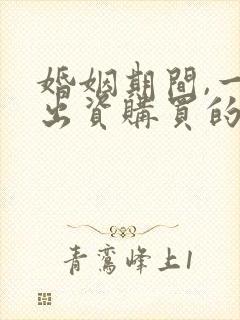 婚姻期间,一方出资购买的房算不算共同财产