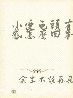 小便龟头有刺痛感怎么回事