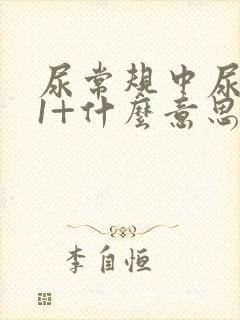 尿常规中尿蛋白1+什么意思