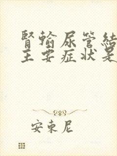 肾输尿管结石的主要症状是什么