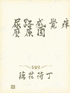 尿路感觉痒是什么原因