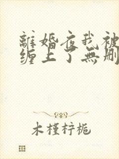 离婚夜我被前夫缠上了无删减版