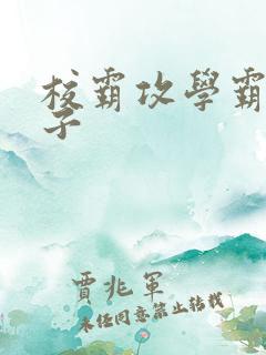 校霸攻学霸受生子