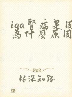 iga肾病是因为什么原因引起