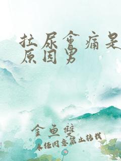 拉尿会痛是什么原因男