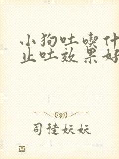 小狗吐吃什么药止吐效果好