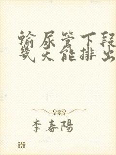 输尿管下段结石几天能排出