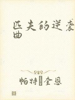 匹夫的逆袭三部曲