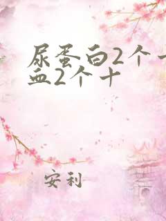 尿蛋白2个十隐血2个十