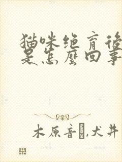 猫咪绝育后乱尿是怎么回事