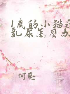 1岁的小猫还在乱尿怎么办