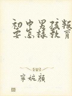 初中男孩叛逆期要怎样教育或开导呢