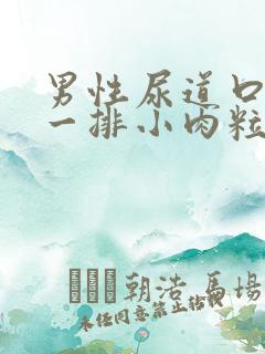 男性尿道口长了一排小肉粒