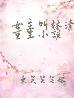 女主叫林清妍的重生小说