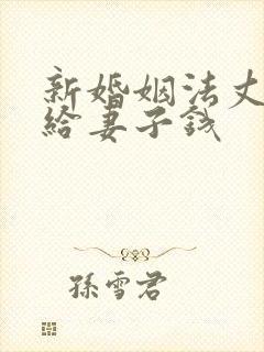 新婚姻法丈夫不给妻子钱