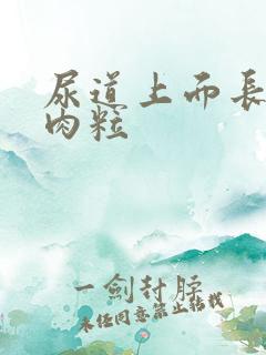 尿道上面长了个肉粒