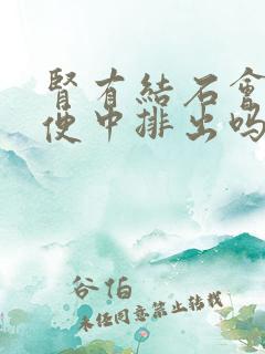 肾有结石会从大便中排出吗