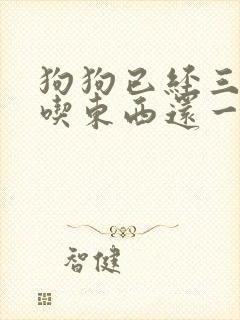 狗狗已经三天不吃东西还一直吐