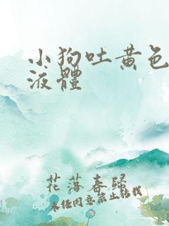 小狗吐黄色粘稠液体