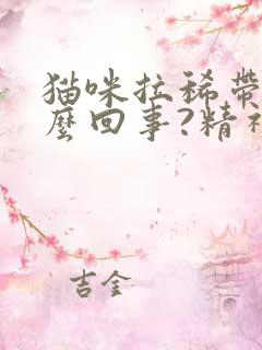 猫咪拉稀带血怎么回事?精神很好