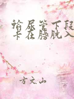 输尿管下段结石卡在膀胱入口