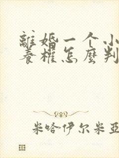 离婚一个小孩抚养权怎么判定