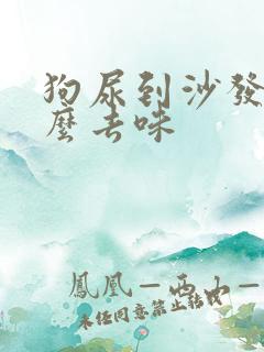 狗尿到沙发上怎么去味