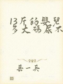 13斤的婴儿穿多大码尿不湿